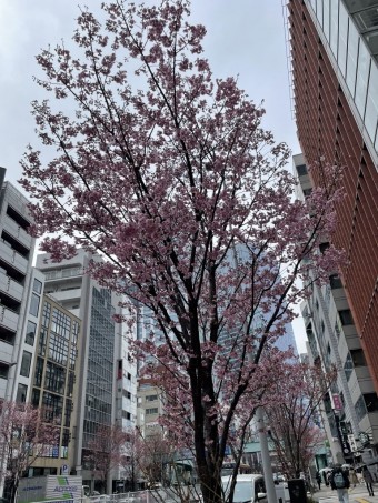 a08b8abbf5e4c8929933abb0641ab4832-e1711188516938